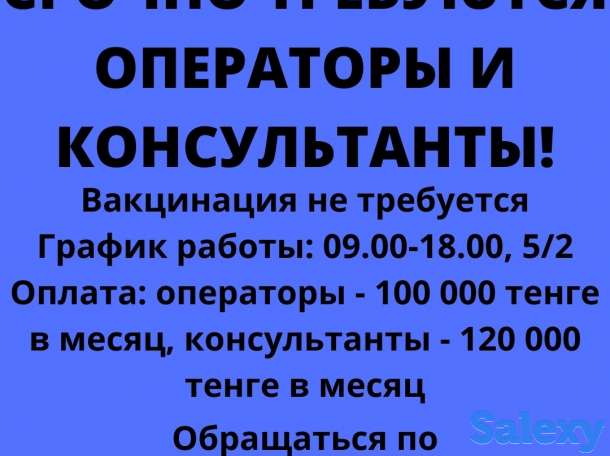 В логистическую компанию требуются сотрудники, фотография 1