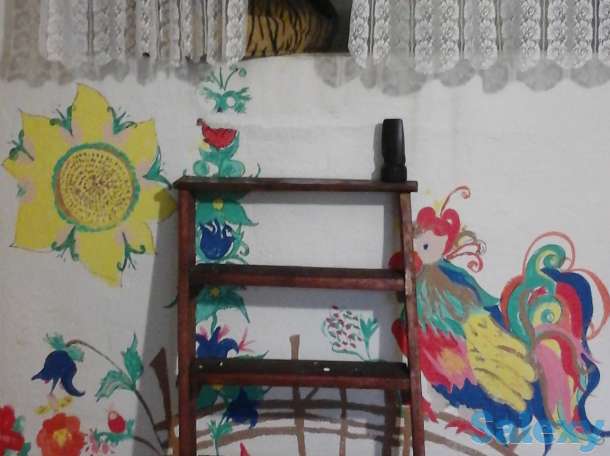 зимний дом в красивейшем месте новгородской области, фотография 4