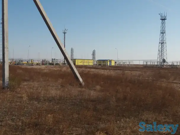 Участок 350 га в Кунаева, фотография 3