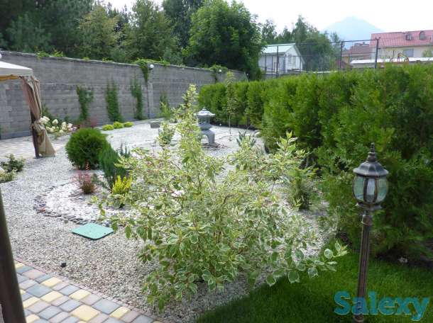 Сад мечты на вашем участке!, фотография 6