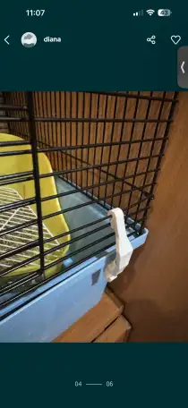 Продаю клетку для кроликовгрызунов, фотография 3