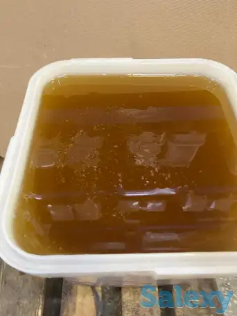 Алтайский мед оптом, фотография 1