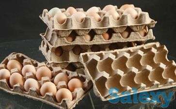 Линия по производству упаковки для яиц, фотография 1