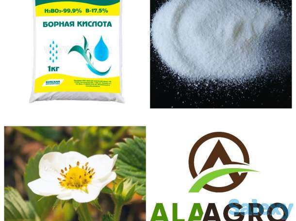 Борная кислота, фотография 1