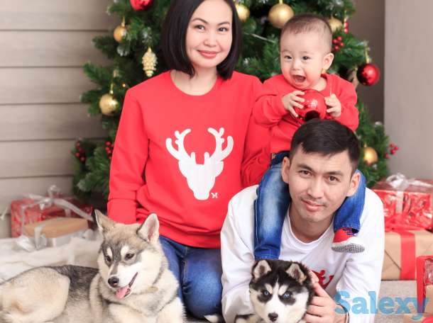 Семейные, детские новогодние фотосессии, фотография 1