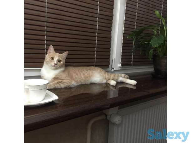 подоконники ДАНКЕ премиум класса в Оренбурге, фотография 9