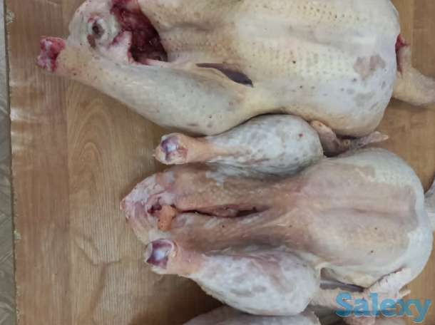Мясо индейки (индейка, индюк), фотография 1