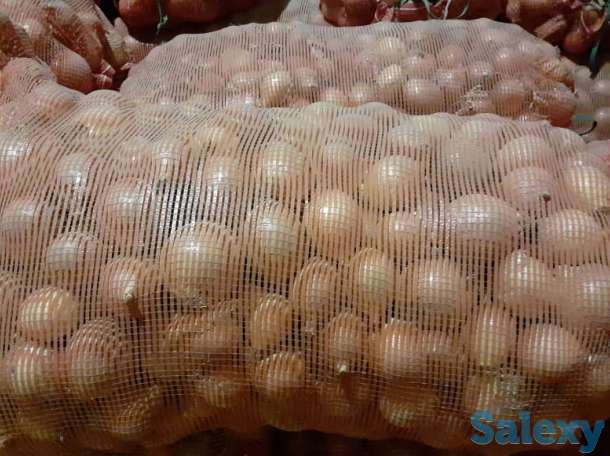 Продажа репчатого лука в больших объемах, урожай 2019 года, сортов «бурса- F1» и «братко F1», фотография 2