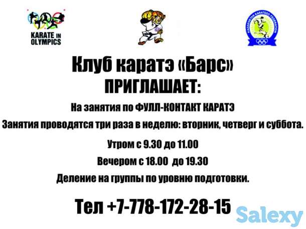 каратэ фулл контакт, фотография 1