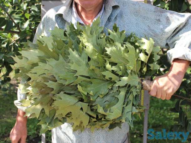 Банные веники из канадского дуба с джутовой рукояткой, фотография 4