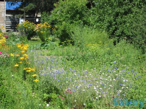 Дом, с.Сосновый Бор Клановая 16, фотография 10