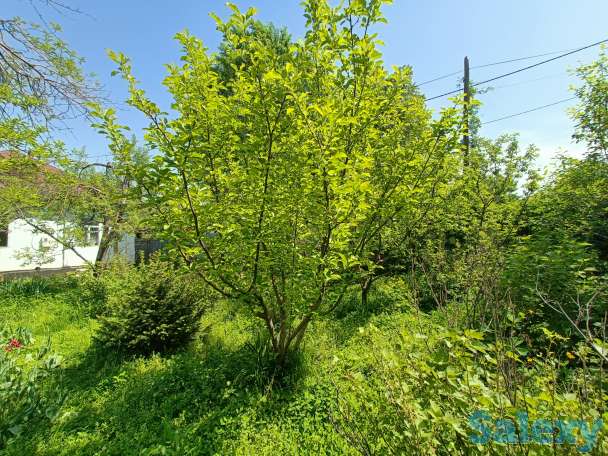 Продам участок под бизнес, Медеуский район, возле Центрального парка культуры и отдыха, фотография 6