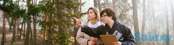 Лесопатологическое обследование и инвентаризация зелёных насаждений. Акт зеленых насаждений, фотография 1