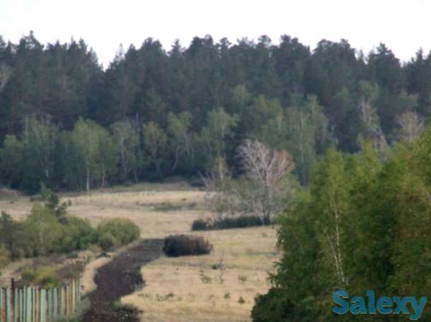 Продается земельный участок рядом с сосновым лесом г. Щучинск, фотография 1