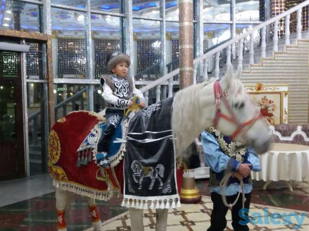 аренда коня, фотография 2