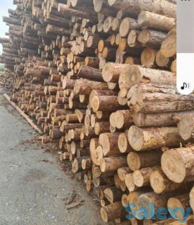 Доска Обрезная Необрезная, фотография 5