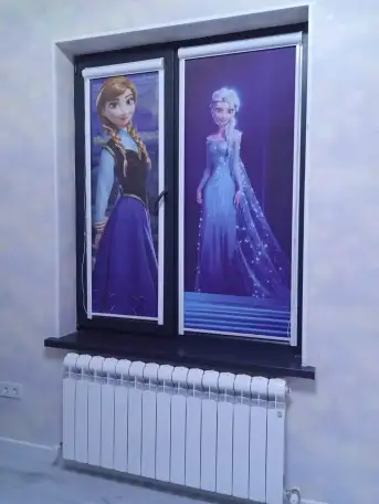 Ролл-шторы, жалюзи, фотография 11