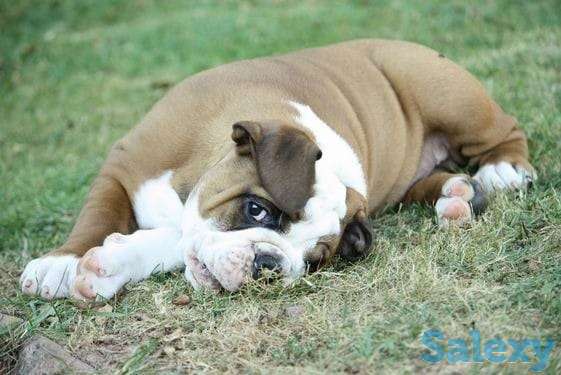 Красивый мальчик, фотография 1