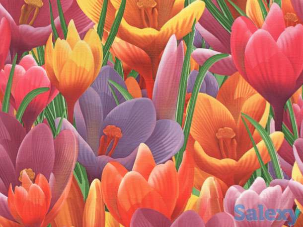 Обои., фотография 4