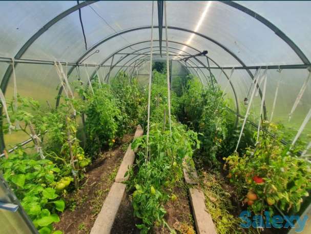 Продам Дача участок Федоровское водохранилище, 6 соток, Фёдоровка., фотография 3