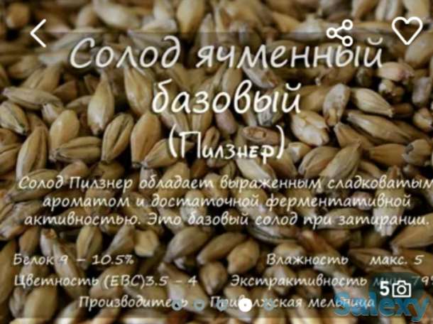 Солод, фотография 2