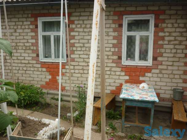 Продам дачу, общество Ермак,43 км,дом 43., фотография 2