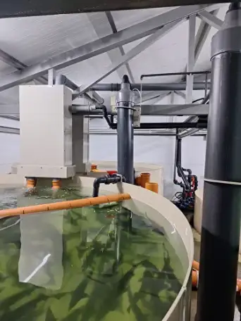 Проектирование, строительство, монтаж Установки Замкнутого Водоснабжения УЗВ, фотография 7