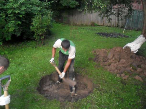 Сантехника Септик под ключ., фотография 2