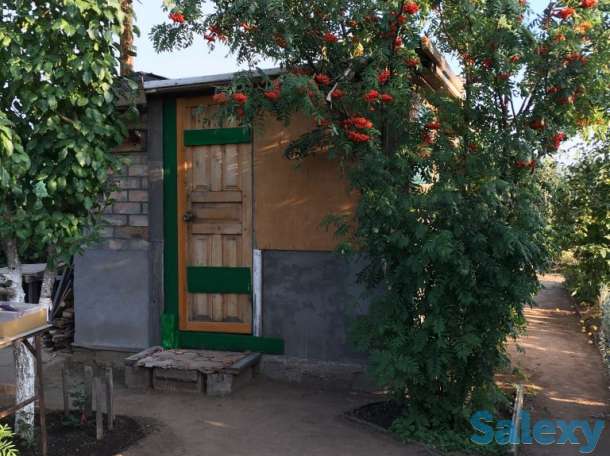 Продам дачу в обществе Союз, фотография 1