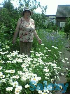 продам дачу, фотография 4