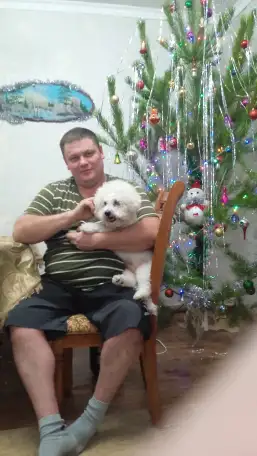 Ищем подружку своему любимчику, фотография 3