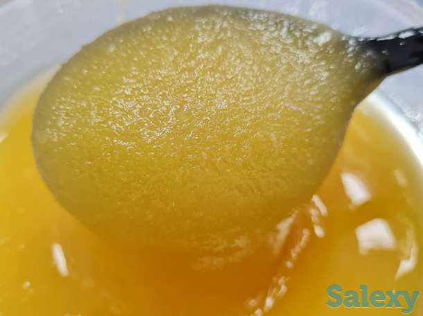 Продам мёд, Сотовый мёд, Продукты пчеловодства. Опт., фотография 1