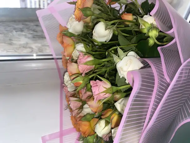 Продам цветы по цене одного, фотография 5