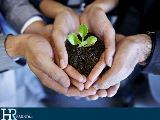HR Капитал, фотография 1