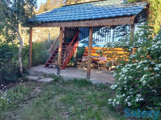 Сдаются домики на Бухтарме, Новая Бухтарма, фотография 2