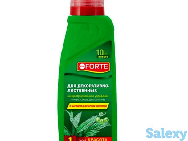 Bona Forte для декоративно-лиственных КРАСОТА  0,285 л, фотография 1