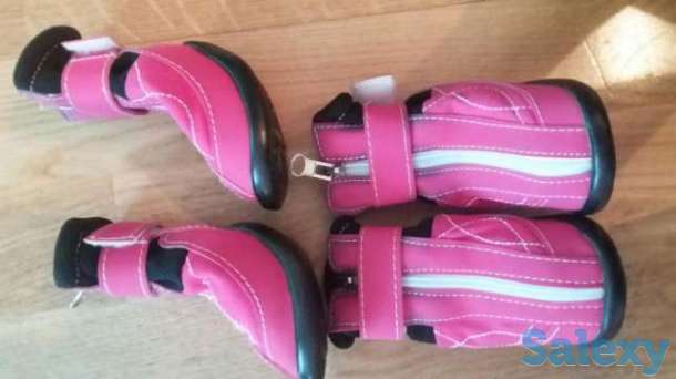 Обувь для собаки, фотография 1