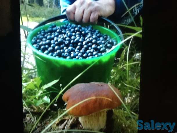 Добротный зимний дом в красивейшем месте, область,Хвойнинский район,ст.Кабожа, фотография 8