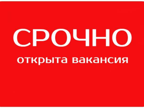 Требуется Ассистент-Руководителей , фотография 1