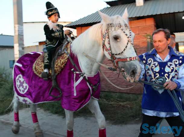 Конь белый, фотография 5