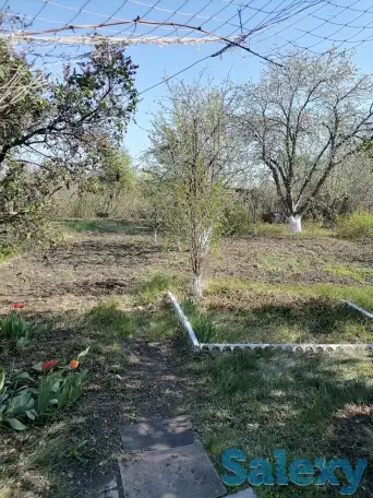 Продам дачу, фотография 3