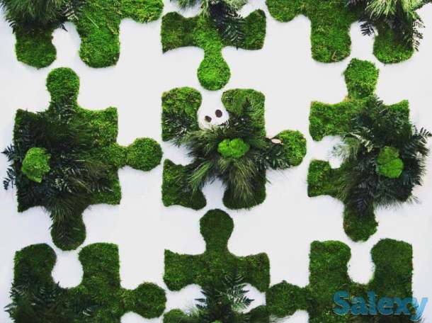 Озеленение интерьеров, фотография 4