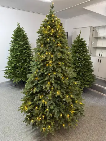 Ёлки в аренду  Ёлки в прокат, фотография 3