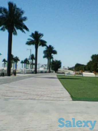 Набережная, море.курить запрещено, евроремонт, фотография 2