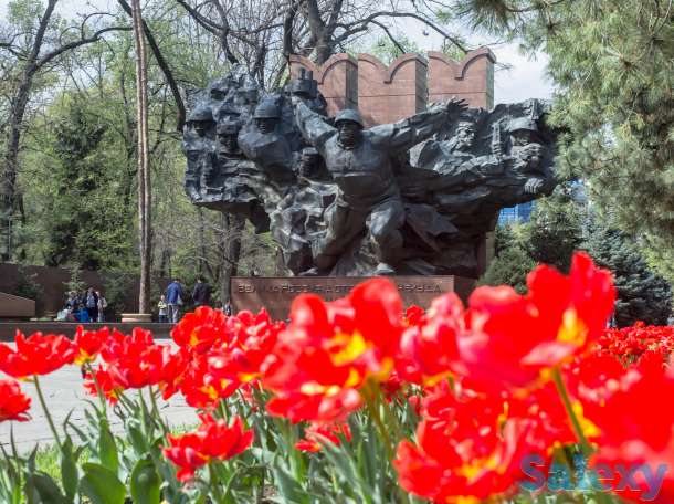 Видео-Фото, фотография 6