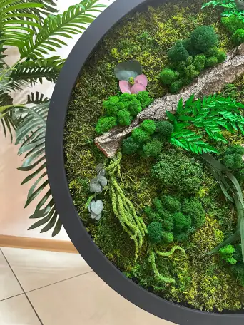 Живые картины, панно, декор из мха в Алматы., фотография 3