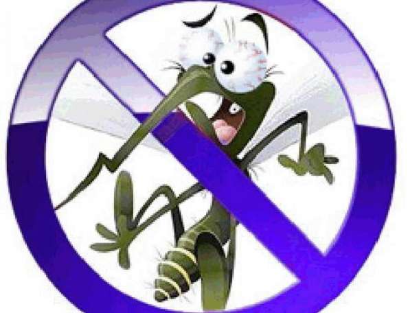 Москетние сетки  Астана, фотография 2