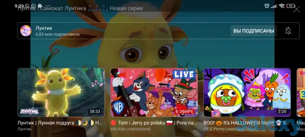 Автозапчасти корейские машины Киа и Хендай, фотография 3