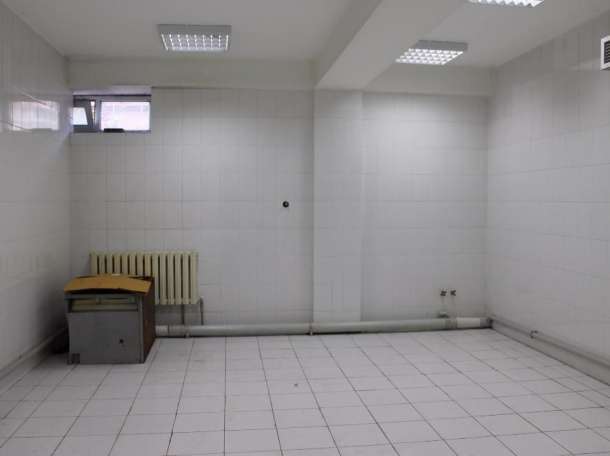 Сдаются подвальные помещения в бизнес-центре, Осипенко 35А, фотография 1