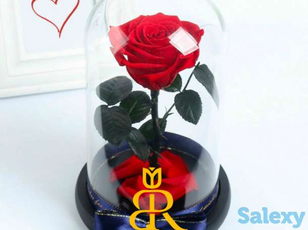 Живая Роза в стеклянной колбе - Бесплатная Доставка, фотография 1